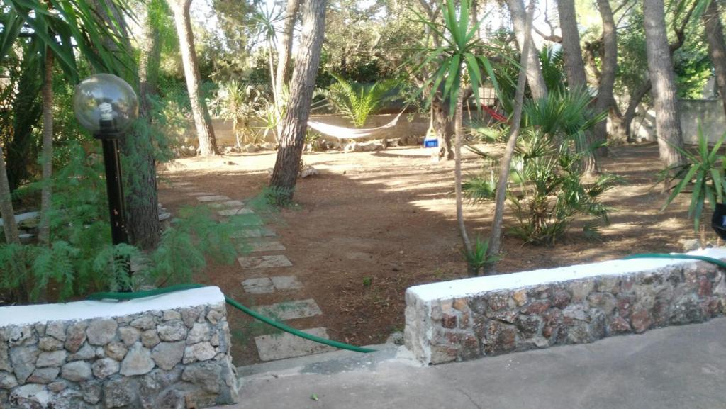 Casa Vacanze La Pineta photo 2