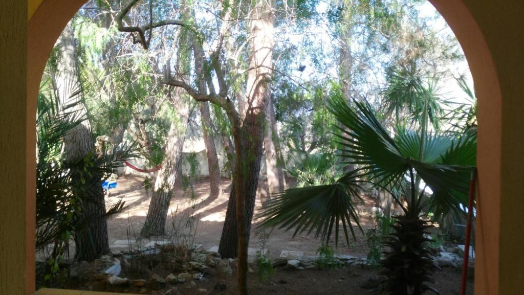 Casa Vacanze La Pineta photo 3