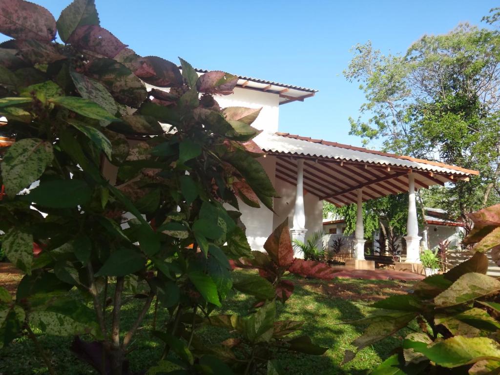 Sanda Sisila Guest House photo 2