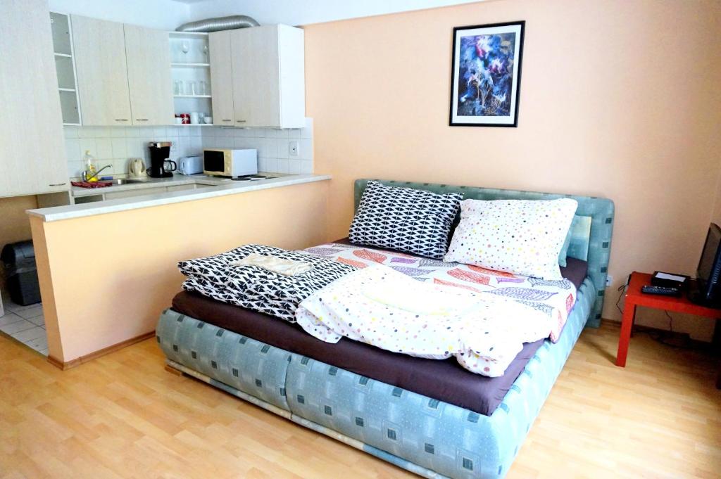 Apartmany Jachymov photo 1