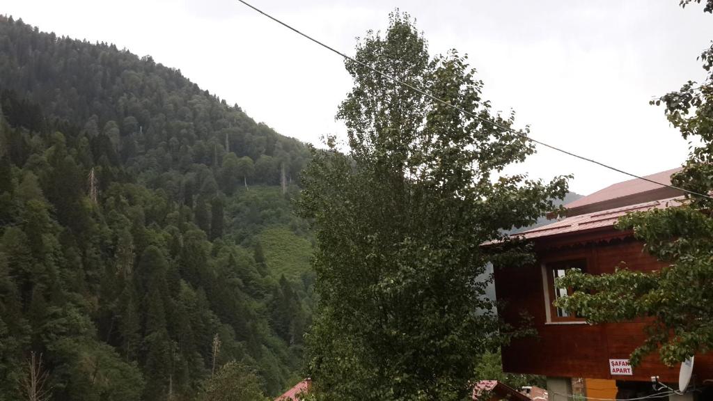 AYDER ŞAFAK Apart photo 2