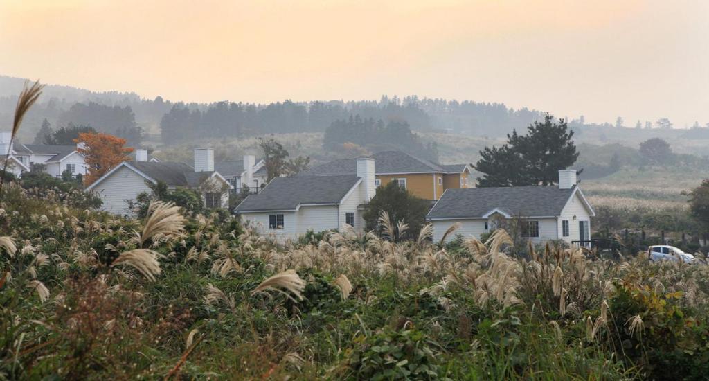 Jeju Skyline Pension photo 1