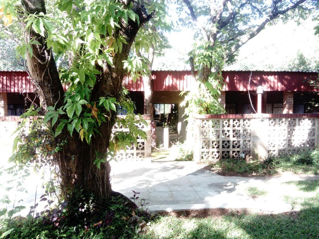 Pennywise Cottages photo 1