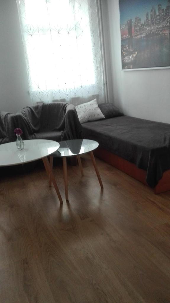 Apartment U Moniki photo 1