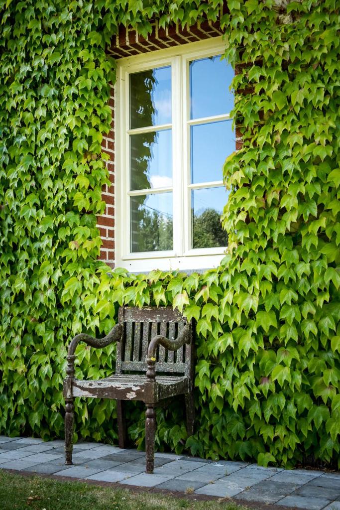 B&B Haut Brûly photo 4