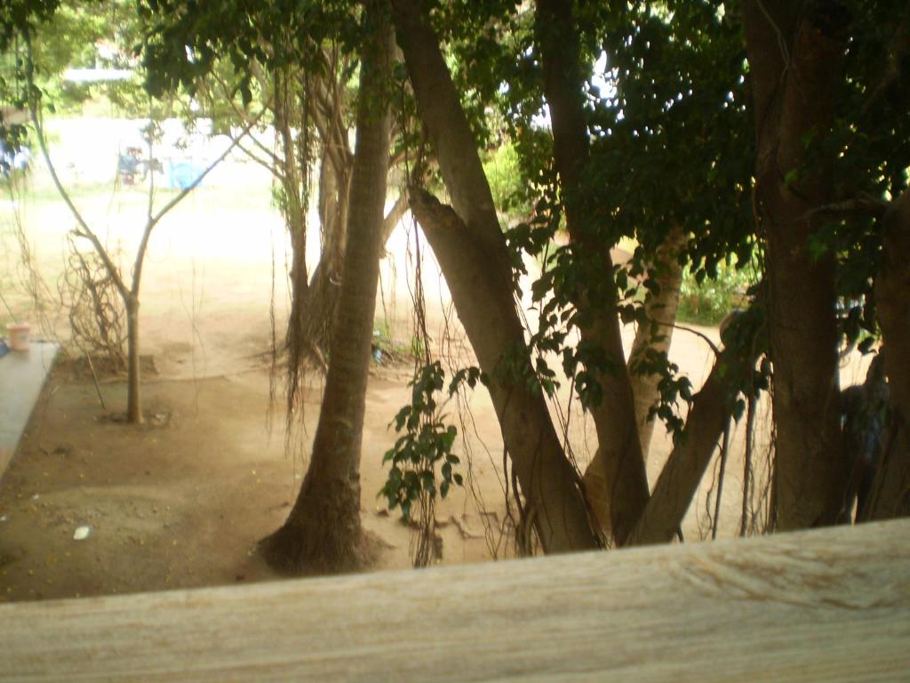 Hotel Pearl Gate photo 4