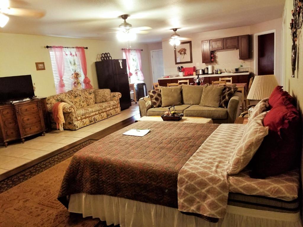 Charming Downstairs Unit image