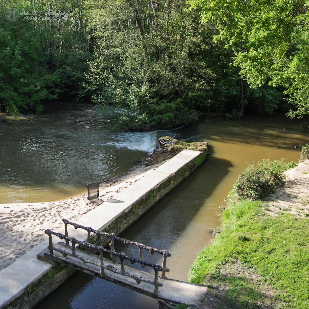 Moulin de Saint Cricq photo 3