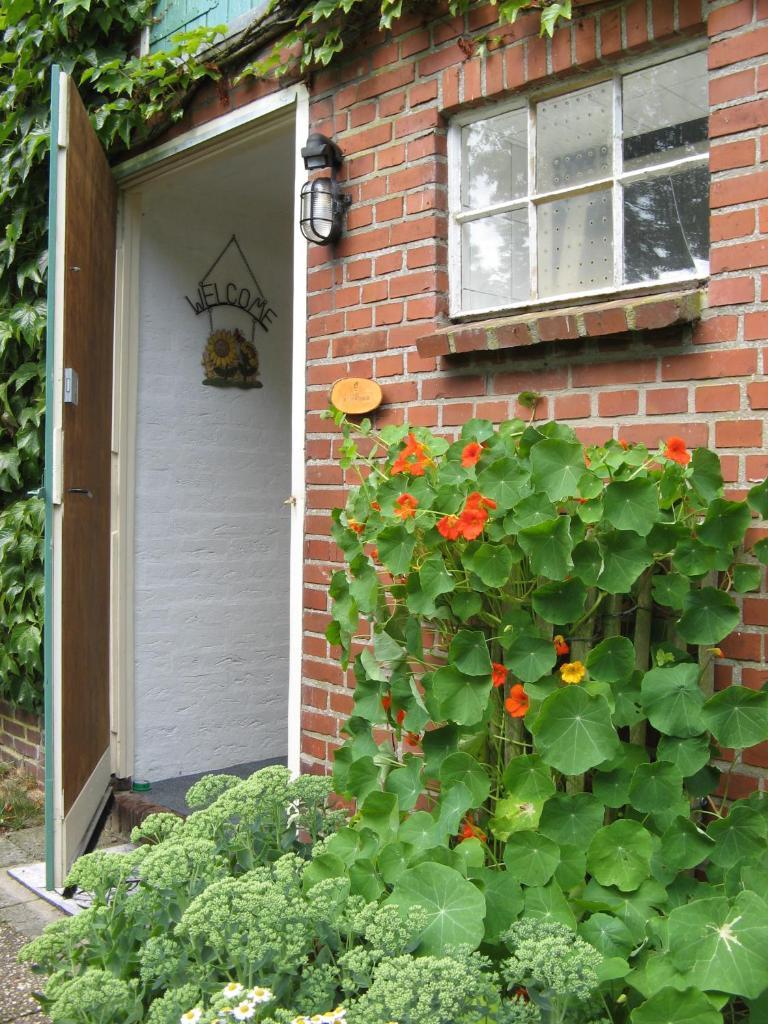 't Zwaluwennest photo 2