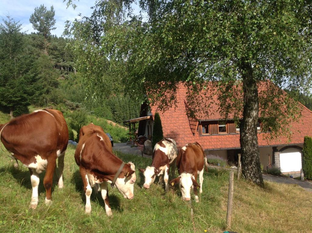 Holzbildhauerei Kammerer photo 3