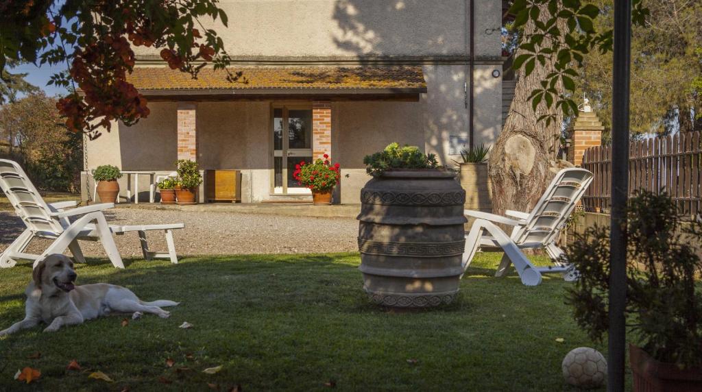 La Fondona photo 1