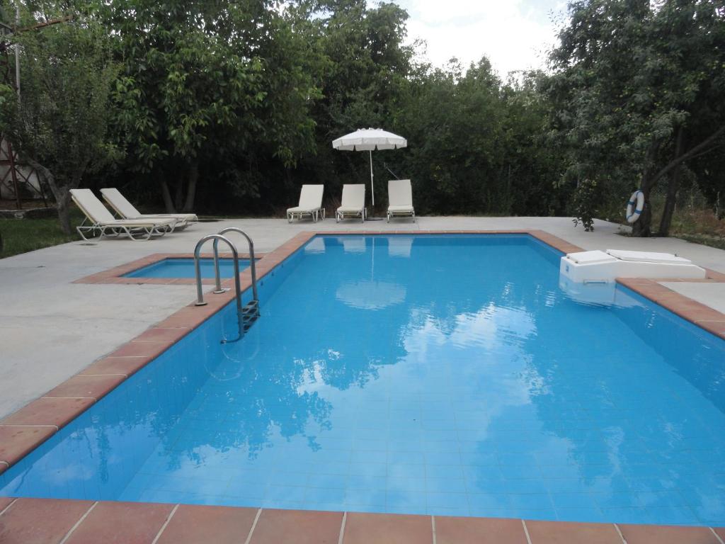 Zeus House photo 3