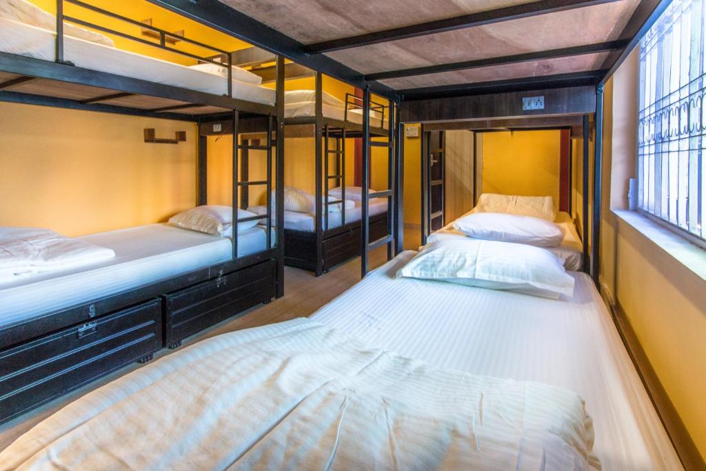 Номер (Кровать в общем номере для мужчин и женщин с 8 кроватями и кондиционером), Backpacker Panda Appetite