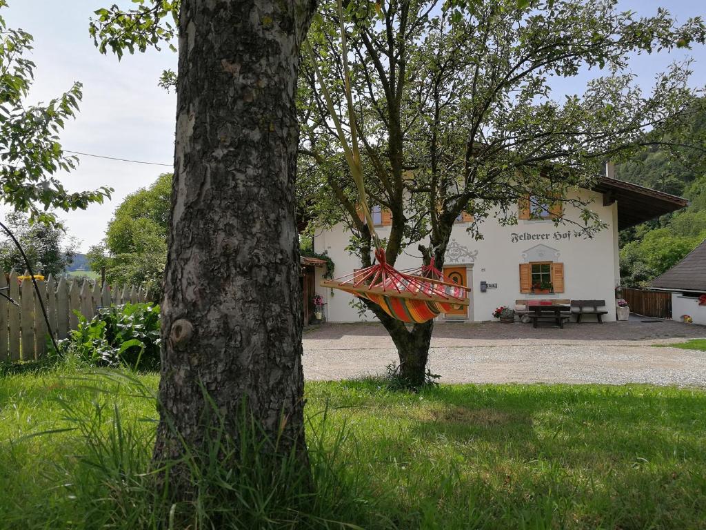 Feldererhof photo 3