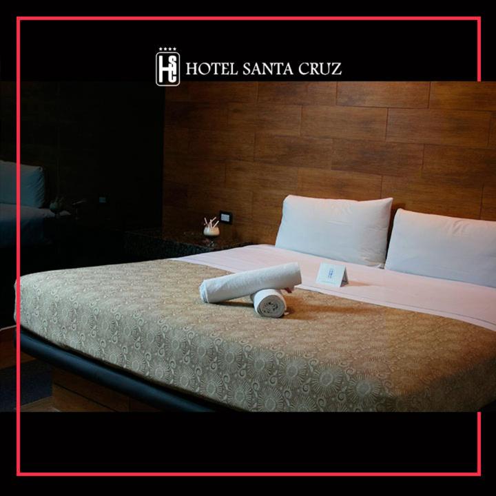 Двухместный (Улучшенный номер с кроватью размера «king-size»), Hotel Santa Cruz