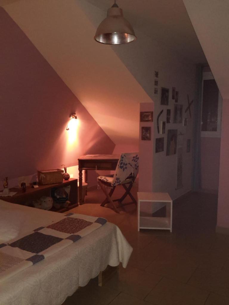 Chambre d'Hôte Ti coin Tranquille photo 1
