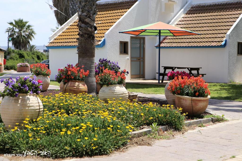 Dor Country Lodging photo 4