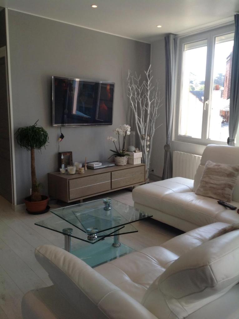 Appartement Standing 40 mètres Plage Terrasse et Garage avec wifi photo 1