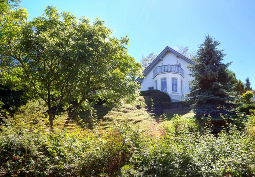 Panoramablick _ Heringsdorf photo 2