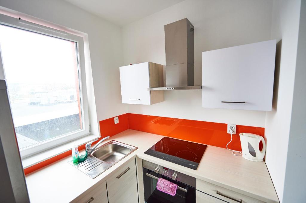 Апартаменты (Апартаменты-студио), Apartament Cube