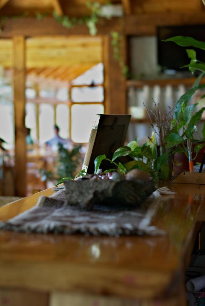 El Hostal del Rio photo 3
