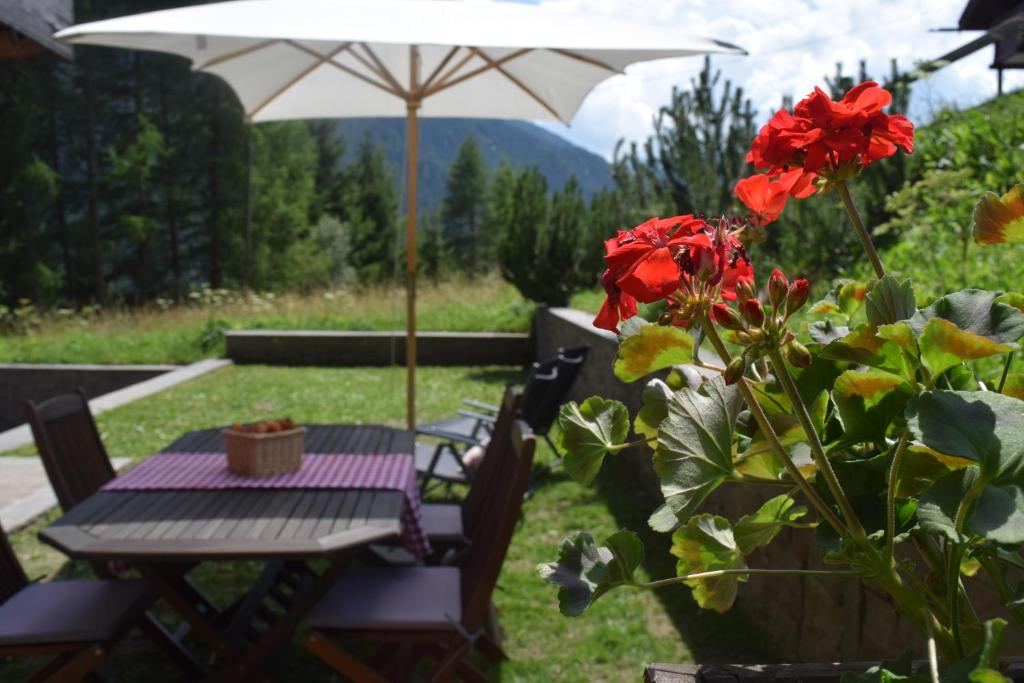 Chalet Do Costa photo 3