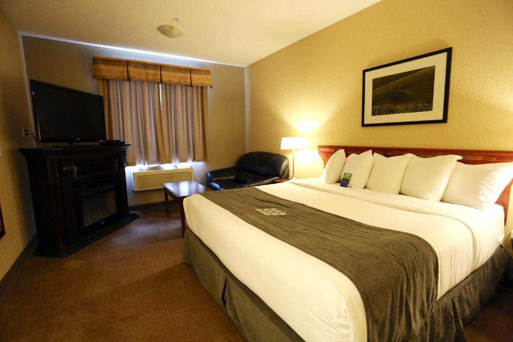 Lakeview Inns & Suites - Fort Nelson photo 3