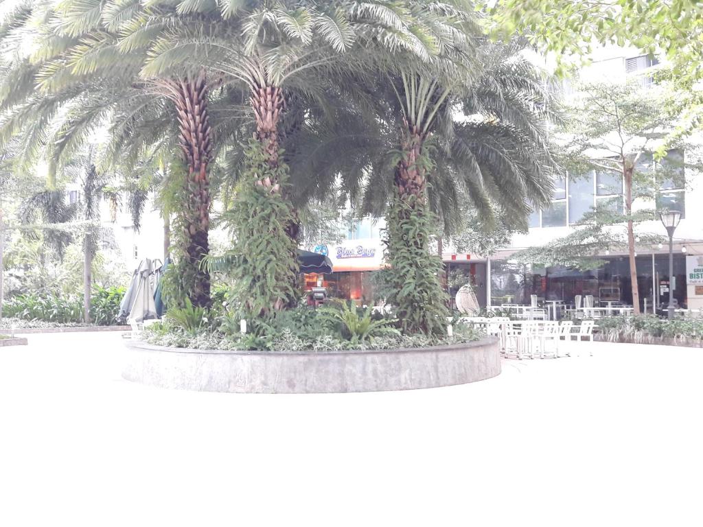 Апартаменты (Апартаменты-студио), Bluesky Serviced Apartment Airport Plaza
