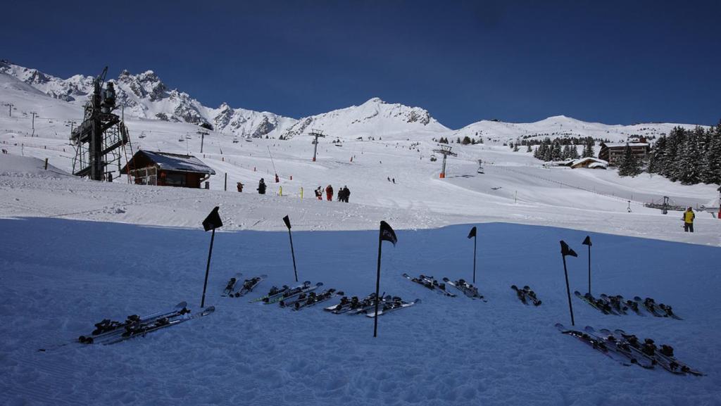 Alpes Hôtel du Pralong photo 2