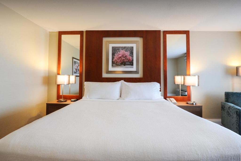 Holiday Inn Niagara Falls-By the Falls, an IHG Hotel photo 1