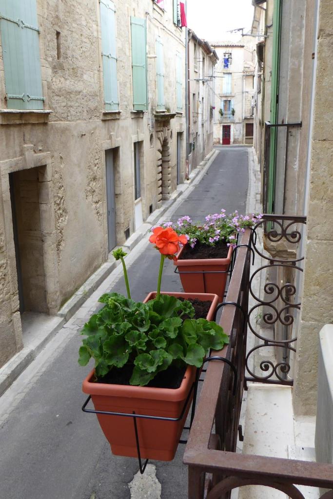 Well equipped village house close to historic centre - Pézenas photo 1