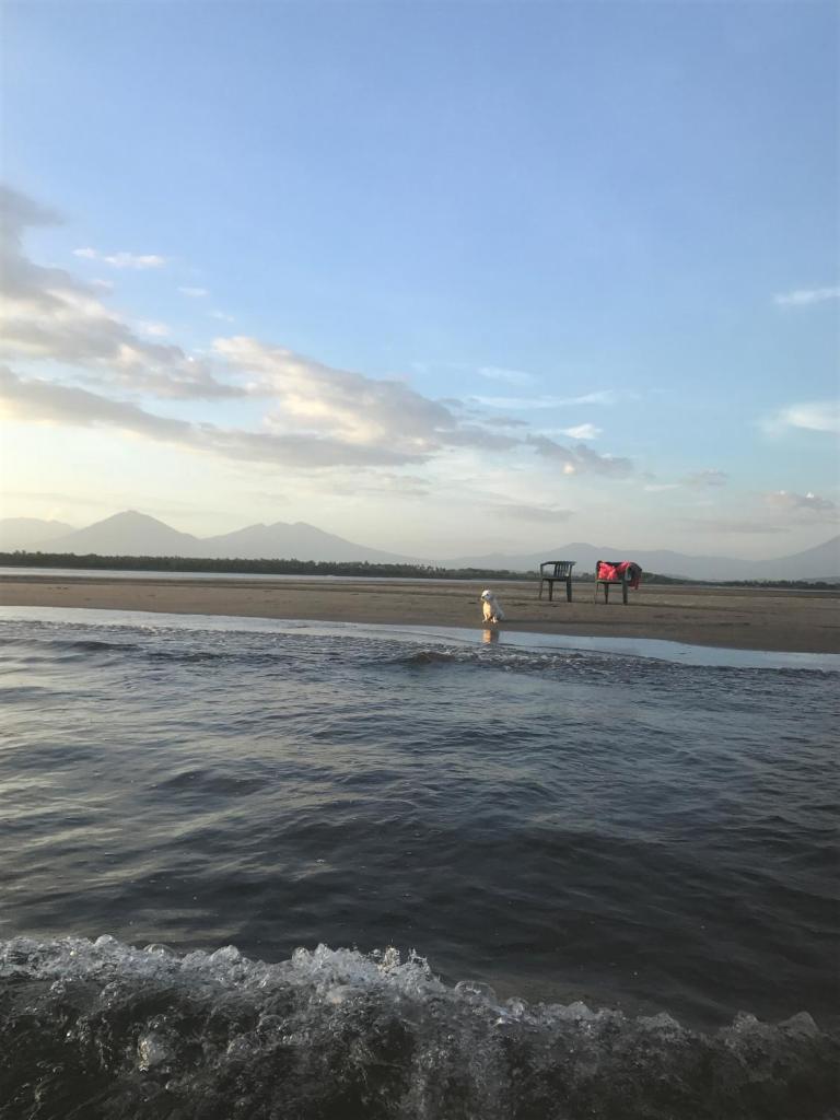 Puerto Barillas photo 1