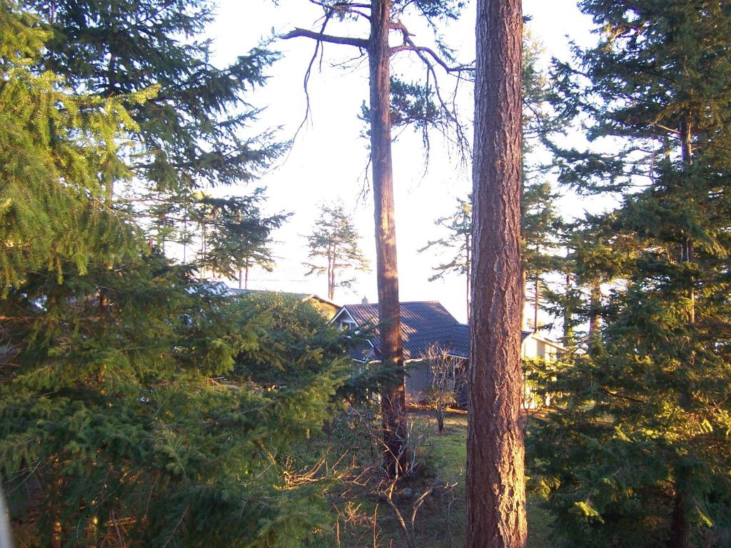 Malaspina Strait Cottage photo 4