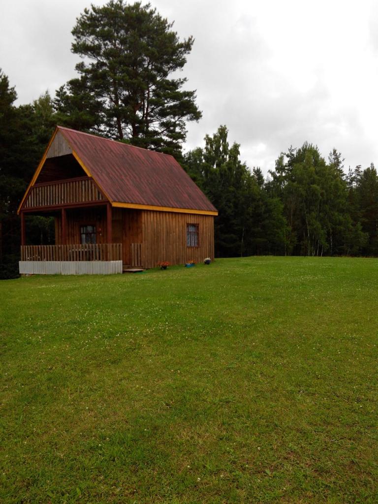 Priedīši photo 4