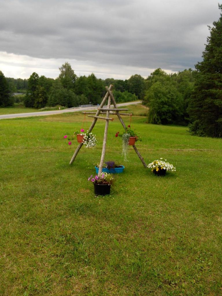 Priedīši photo 1