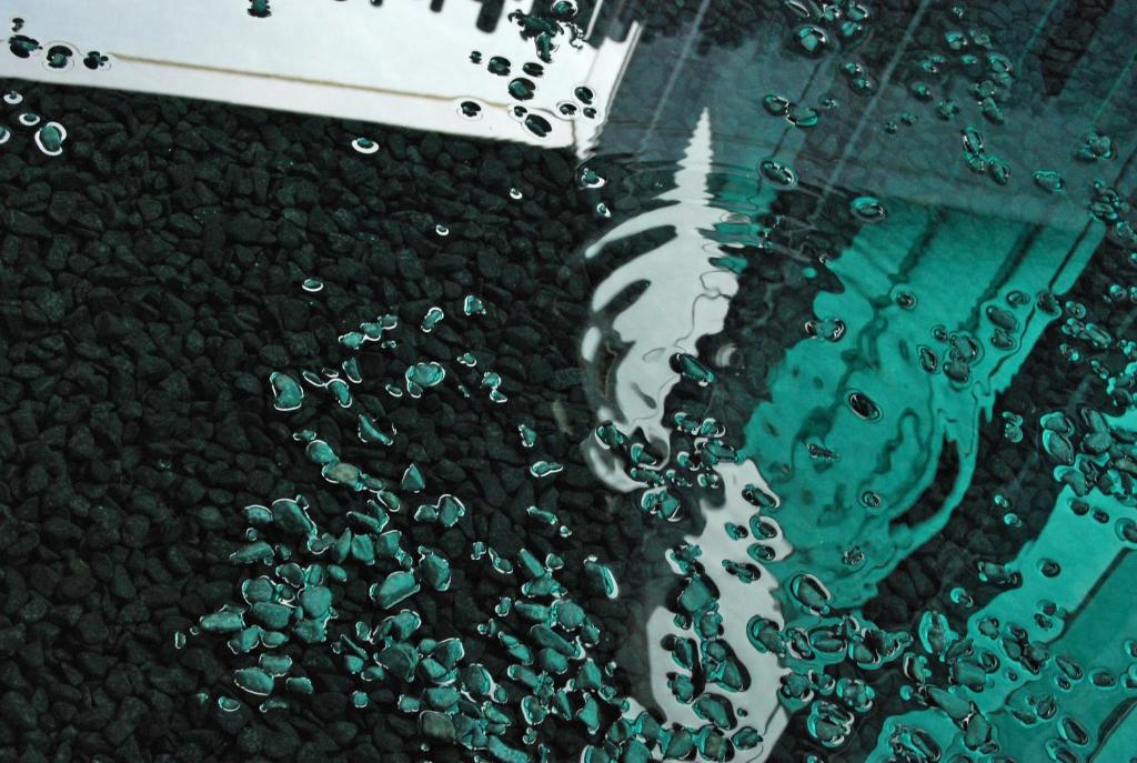 Les Cols Pavellons photo 3