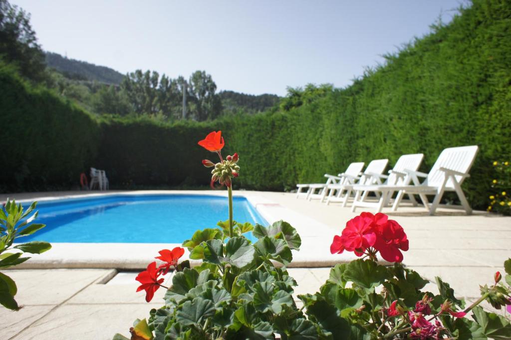 {
  "en-gb": "Hotel La Planada"
} photo 1