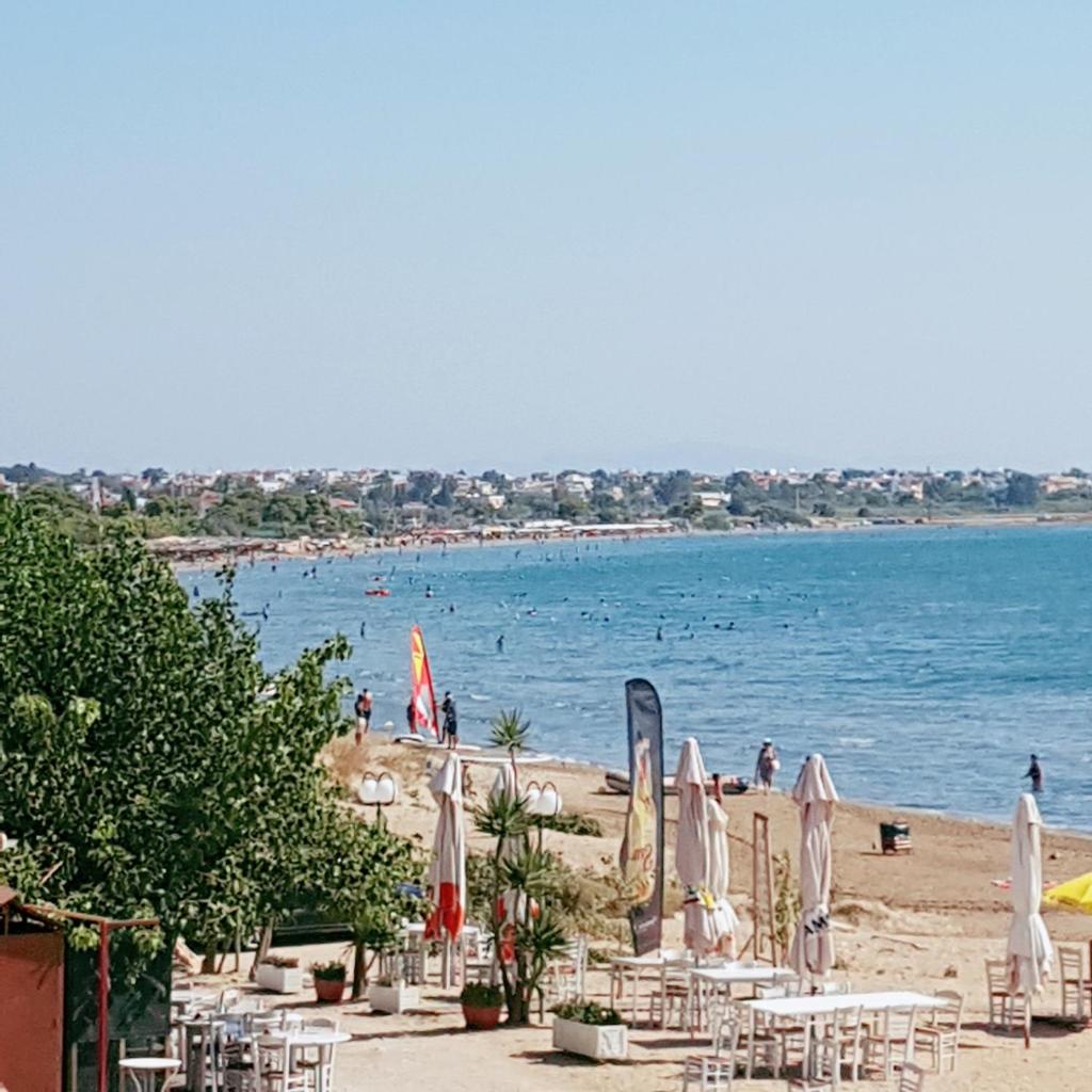 Goldie's Home by the sea photo 3