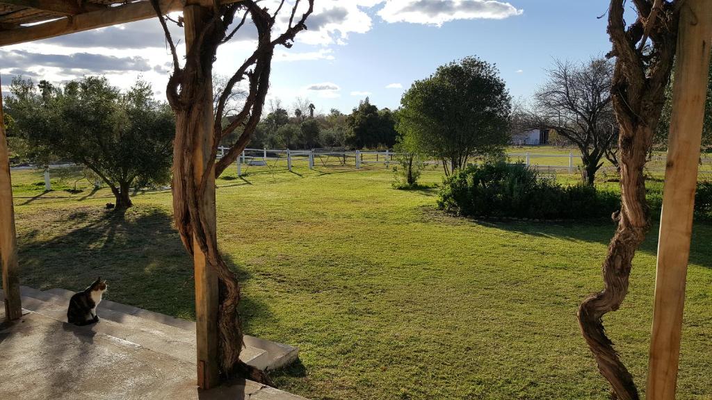 Acacia Cottage photo 4