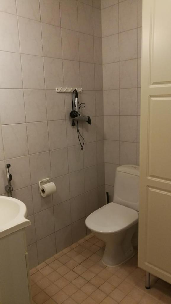 Levin Alppi 3 A 1 Apartment photo 3