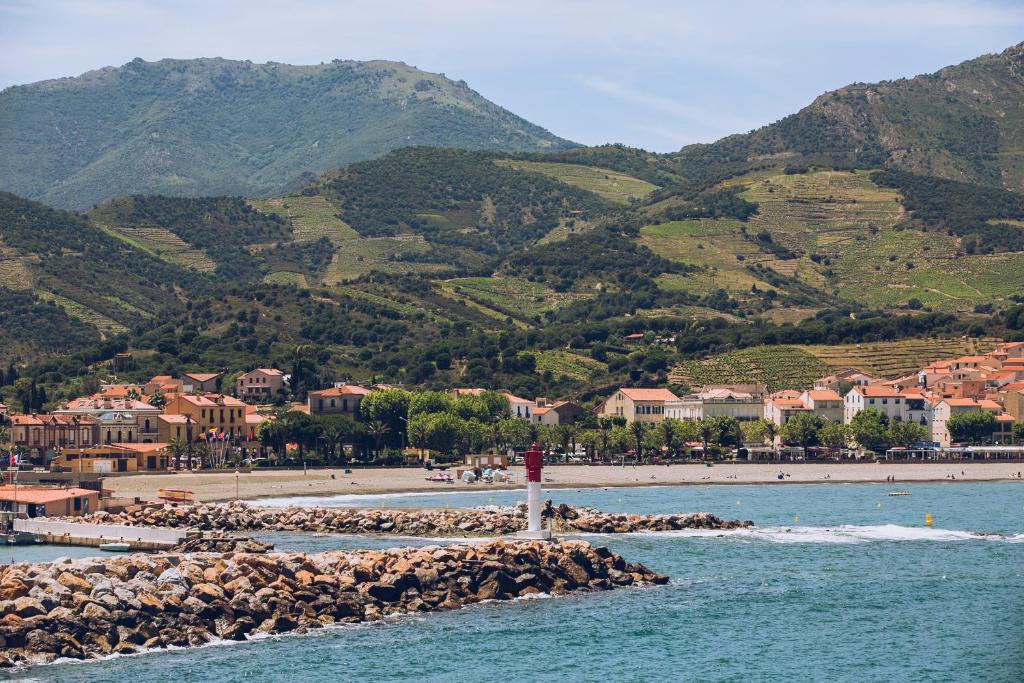 Regina's Banyuls - Spatious apartment next to the beach photo 3