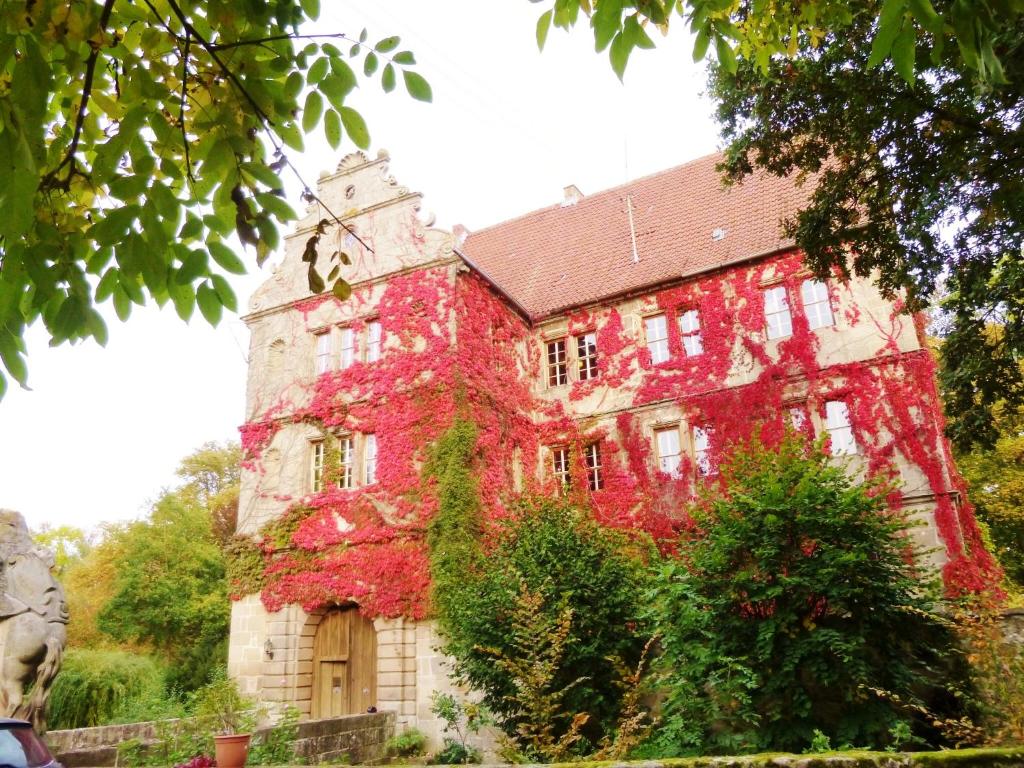 Ferienwohnung am Wanderweg photo 1