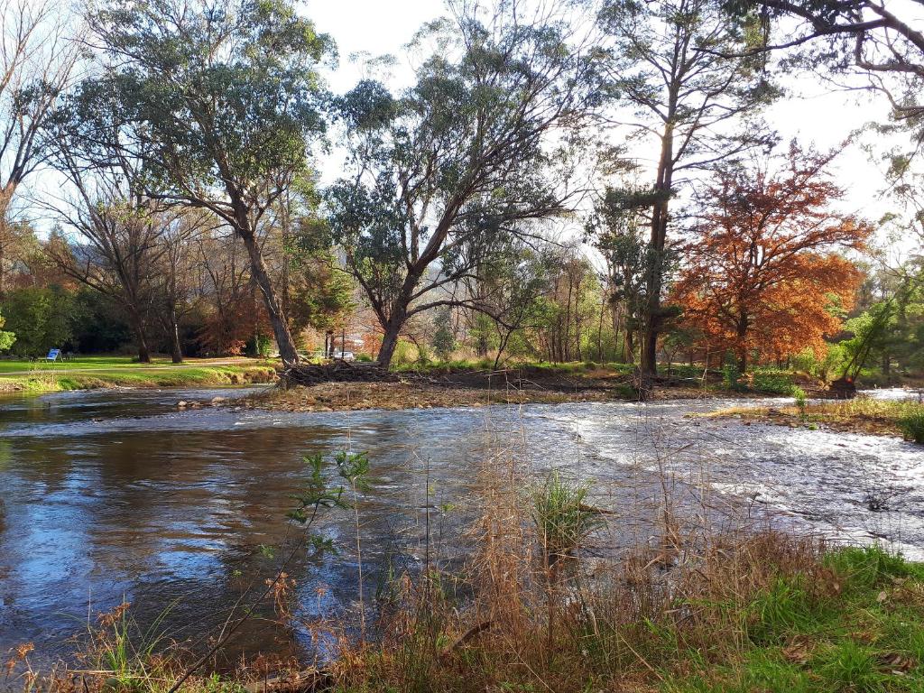 On The Banks photo 4