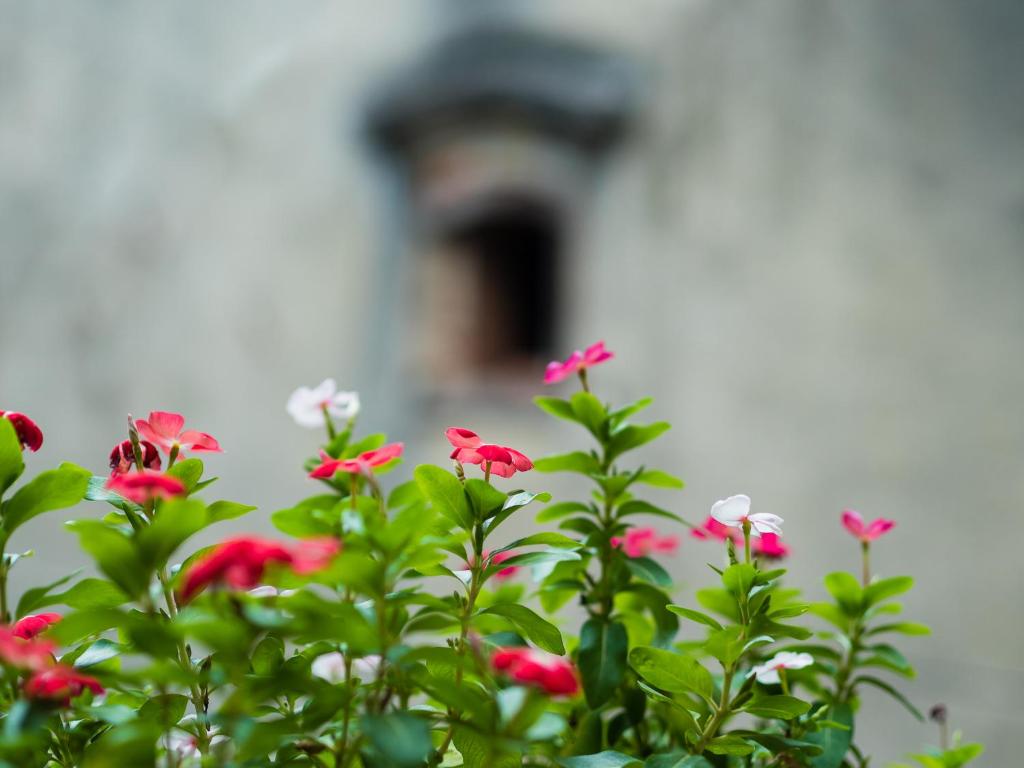 Hanoi Balcony Homestay