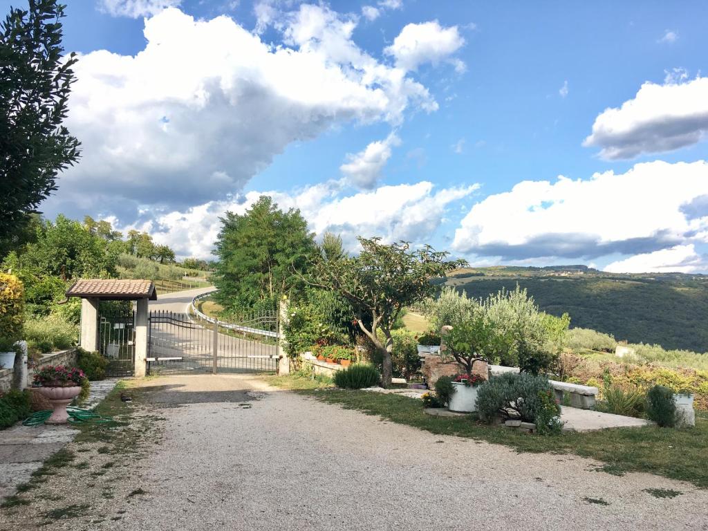 Ai Sette Noci photo 1