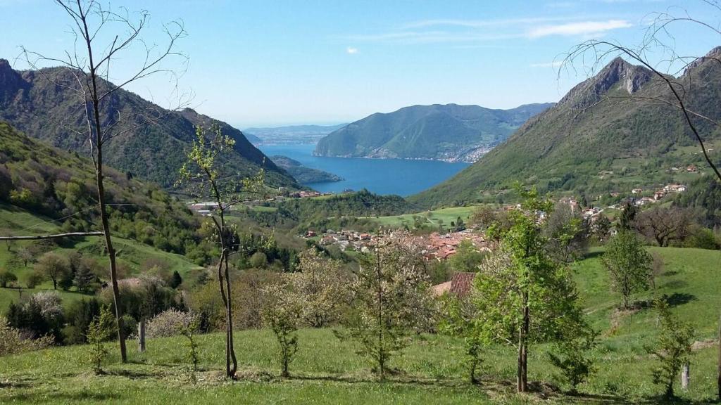 B&B Il Centrale photo 3