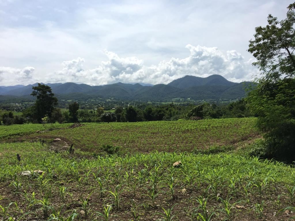 Paipunthong Resort photo 4