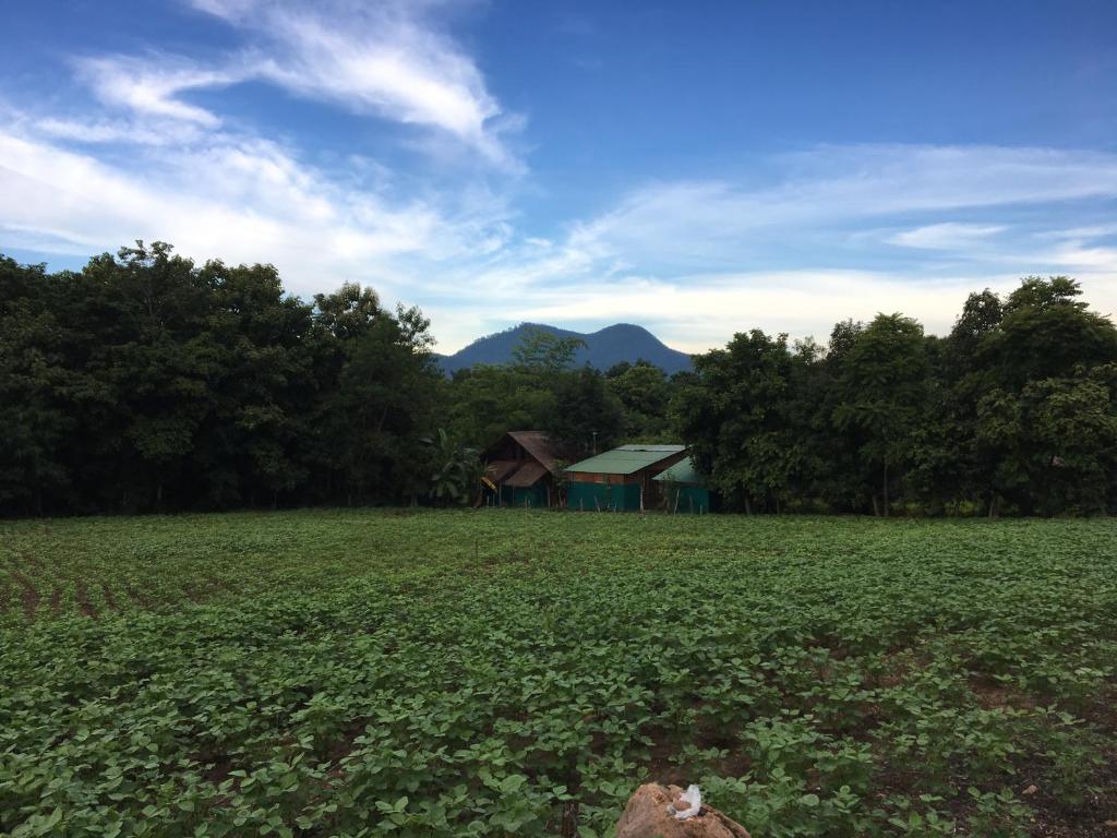 Paipunthong Resort photo 3