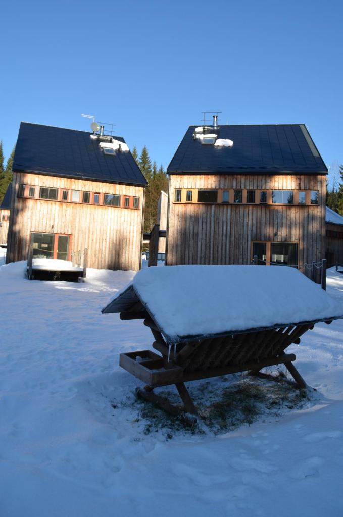 Chalet Harrachov photo 2