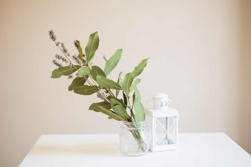 Dimora della Rocca photo 2